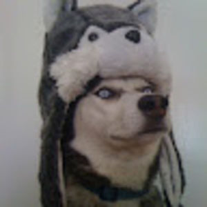 Meet your Posher, Jeffery